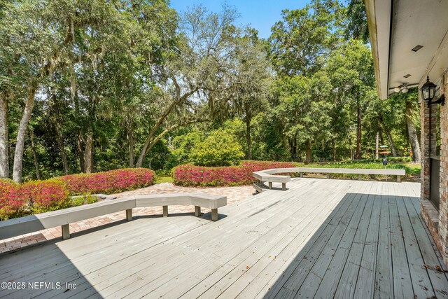 12186 Dividing Oaks Trl W, Jacksonville, FL 32223 - photo 7