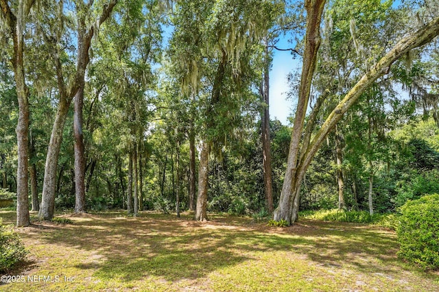 12186 Dividing Oaks Trl W, Jacksonville, FL 32223 - photo 40