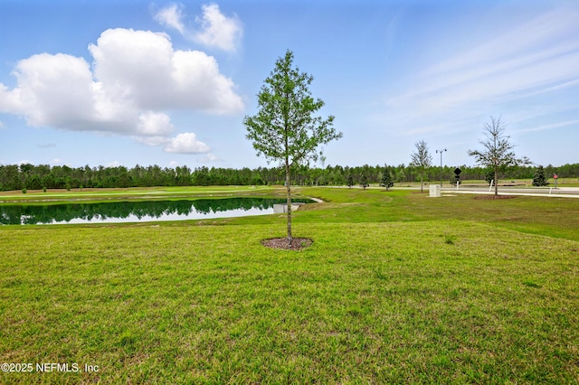 36 Dogleg Run, Saint Johns, FL 32259 - surrounding community featuring a lawn and a water view