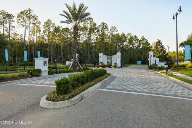36 Dogleg Run, Saint Johns, FL 32259 - view of street featuring curbs, sidewalks, and street lights