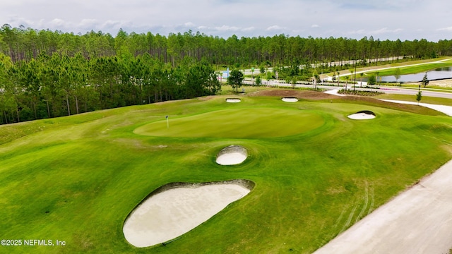 36 Dogleg Run, Saint Johns, FL 32259 - view of community with golf course view, a water view, and a wooded view