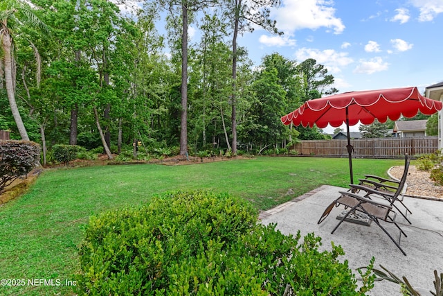 view of yard with fence and a patio area