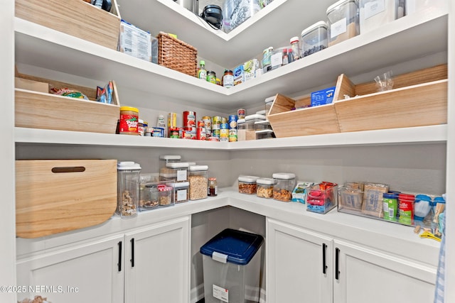 11476 Sheepshead Ln, Jacksonville, FL 32226 - view of pantry