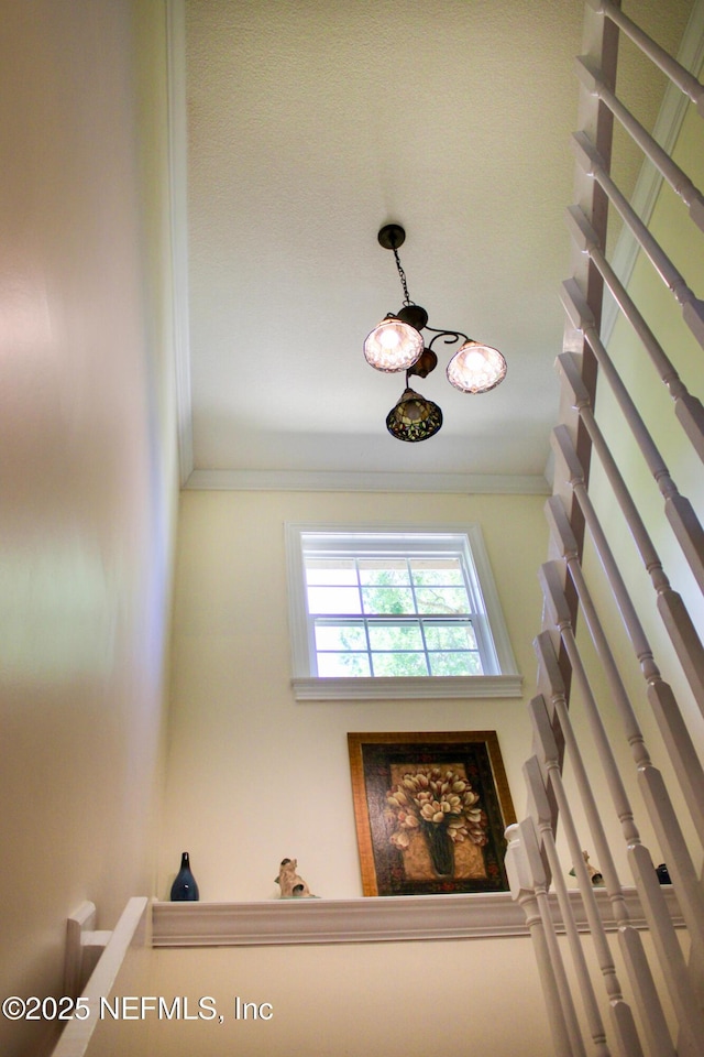 interior space featuring ornamental molding