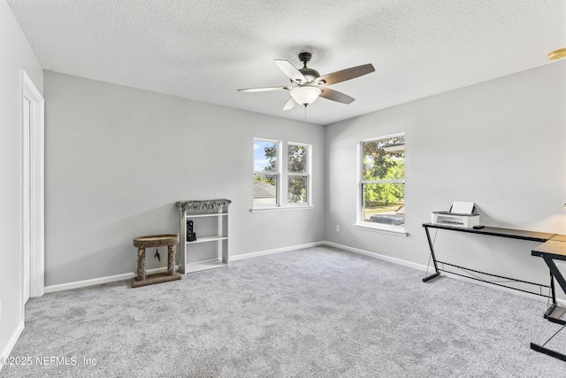 interior space featuring carpet, a ceiling fan, baseboards, and a textured ceiling