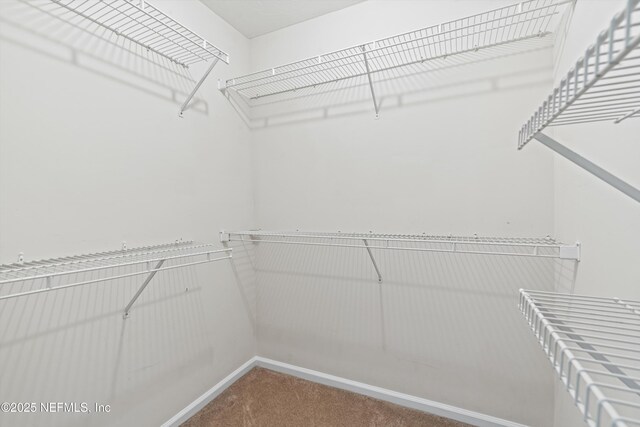 spacious closet with carpet flooring