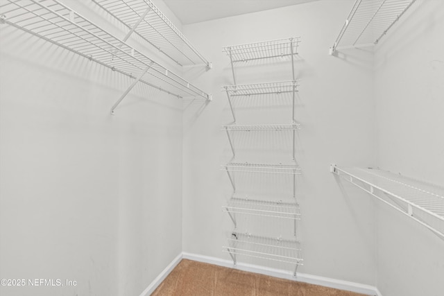 walk in closet featuring carpet floors