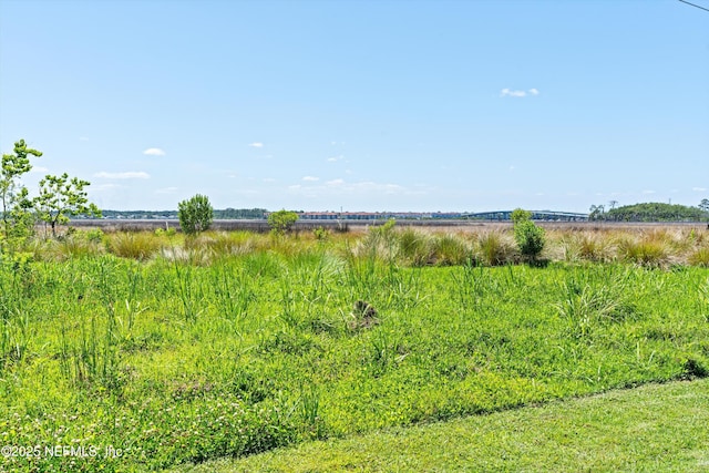 view of nature with a rural view