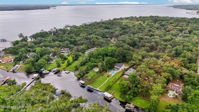aerial view with a water view and a view of trees