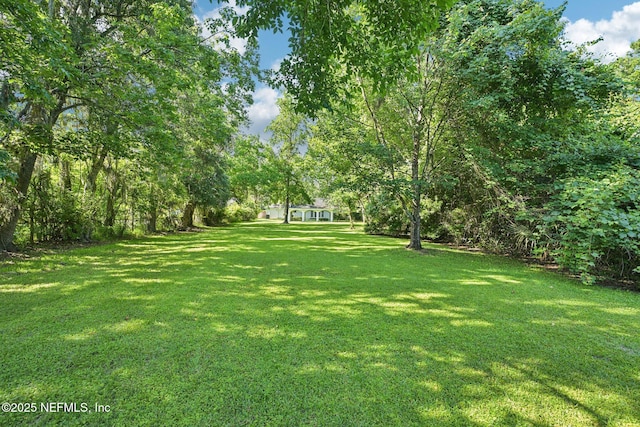 2467 Holly Point Rd E, Orange Park, FL 32073 - view of green lawn