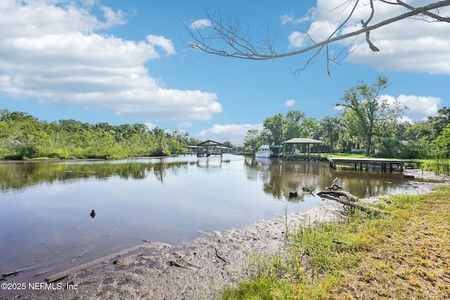 2467 Holly Point Rd E, Orange Park, FL 32073 - water view