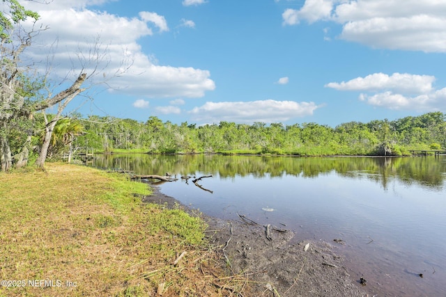2467 Holly Point Rd E, Orange Park, FL 32073 - water view featuring a forest