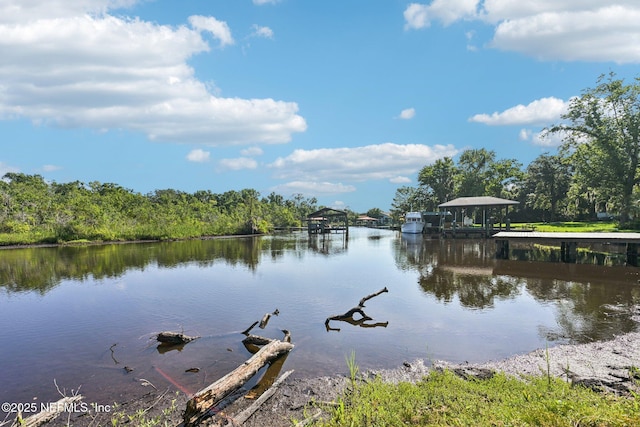2467 Holly Point Rd E, Orange Park, FL 32073 - dock area with a water view