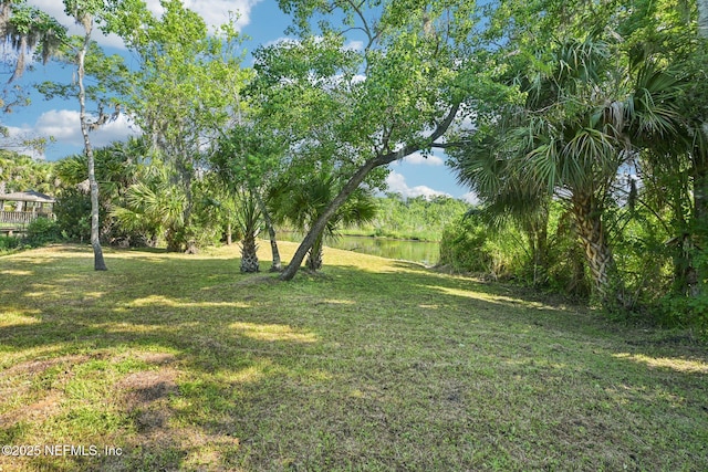 2467 Holly Point Rd E, Orange Park, FL 32073 - view of green lawn with a water view