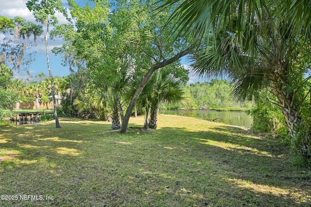 2467 Holly Point Rd E, Orange Park, FL 32073 - view of grassy yard featuring a water view