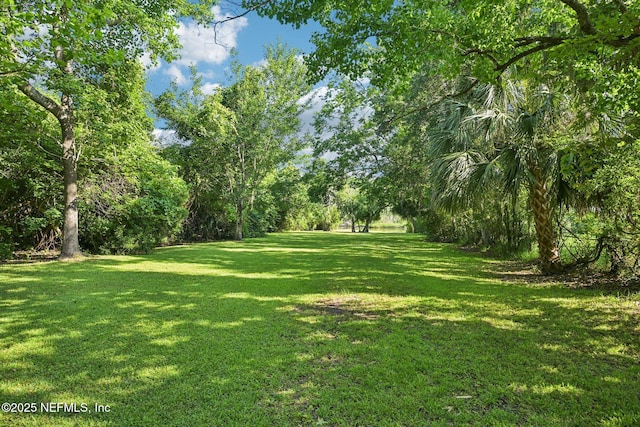2467 Holly Point Rd E, Orange Park, FL 32073 - view of grassy yard