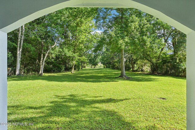 2467 Holly Point Rd E, Orange Park, FL 32073 - view of green lawn with view of wooded area