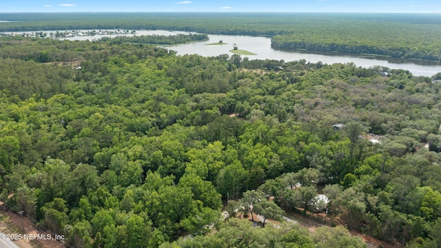 102 Acosta Creek Dr, Satsuma, FL 32189 - photo 37
