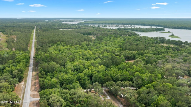102 Acosta Creek Dr, Satsuma, FL 32189 - photo 38