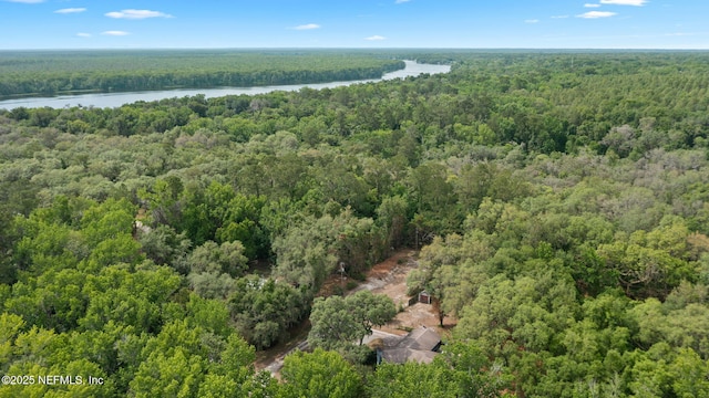 102 Acosta Creek Dr, Satsuma, FL 32189 - photo 39