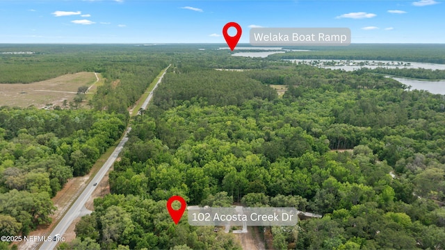 102 Acosta Creek Dr, Satsuma, FL 32189 - photo 41