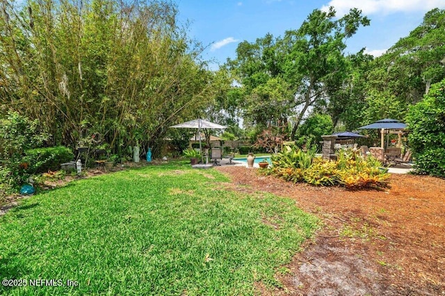 view of yard with a patio area and an outdoor pool