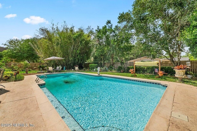 view of swimming pool featuring a patio, a fenced in pool, and a fenced backyard