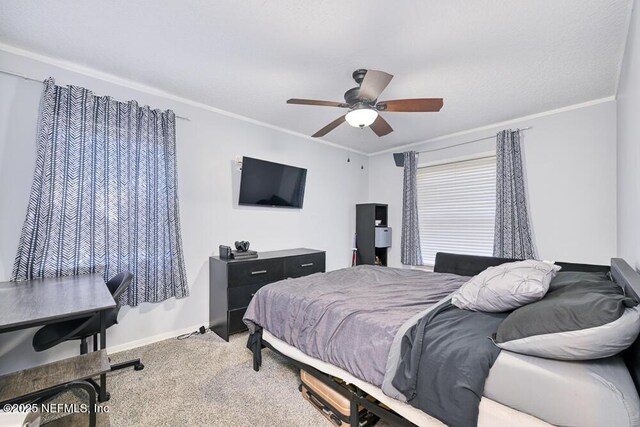 2062 Pimlico Pl, Orange Park, FL 32073 - photo 18