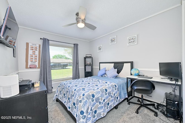 2062 Pimlico Pl, Orange Park, FL 32073 - photo 19