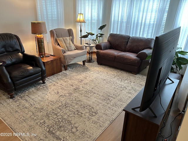 living room with wood finished floors