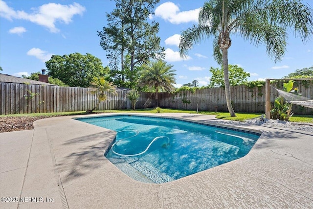view of pool featuring a fenced in pool, a fenced backyard, and a patio area