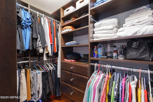 2740 Loja St, Saint Augustine, FL 32084 - view of spacious closet