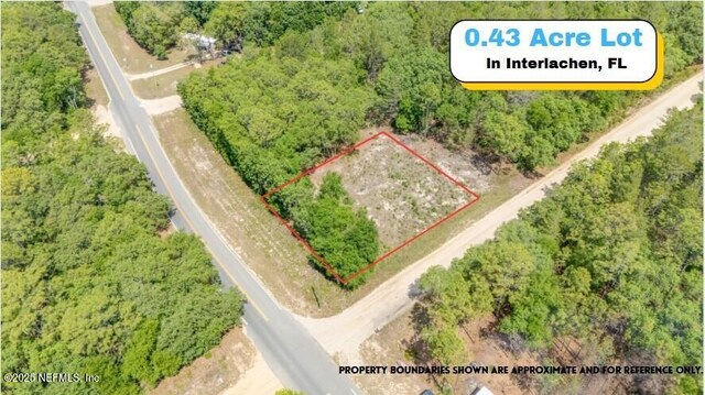 501 Gloria Ave, Interlachen, FL 32148