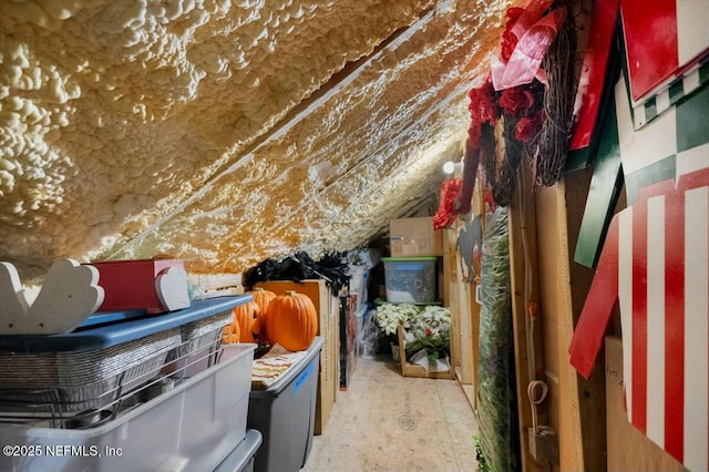 36 Preserve Island Cir, Ponte Vedra Beach, FL 32082 - view of attic