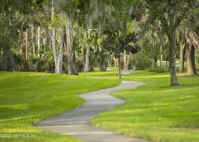 36 Preserve Island Cir, Ponte Vedra Beach, FL 32082 - view of property's community featuring a lawn