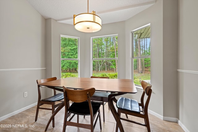 dining room with baseboards, a textured ceiling, and plenty of natural light