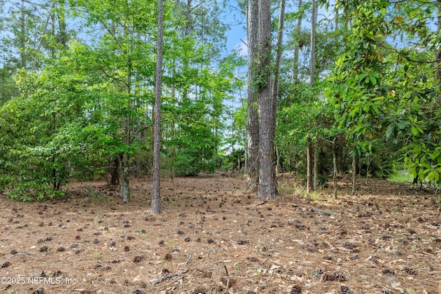 view of local wilderness