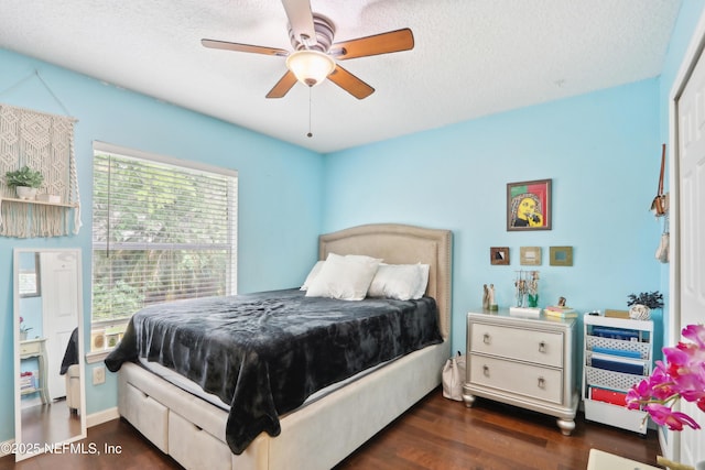 716 Hazelmoor Ln, Ponte Vedra, FL 32081 - bedroom featuring multiple windows, dark wood-style flooring, and a textured ceiling