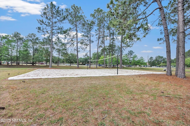 view of community with volleyball court and a lawn