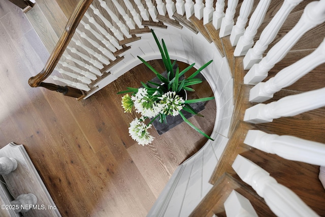 stairs featuring wooden walls