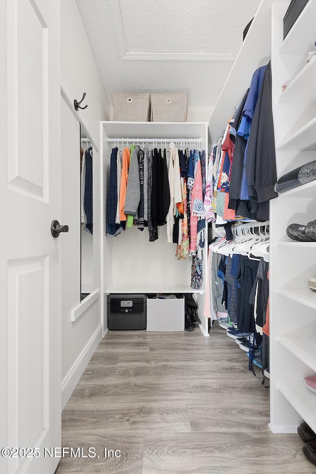 206 Woodland Greens Dr, Ponte Vedra, FL 32081 - spacious closet featuring wood finished floors