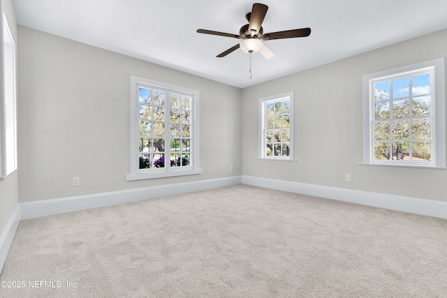 7288 San Jose Blvd, Jacksonville, FL 32217 - photo 28