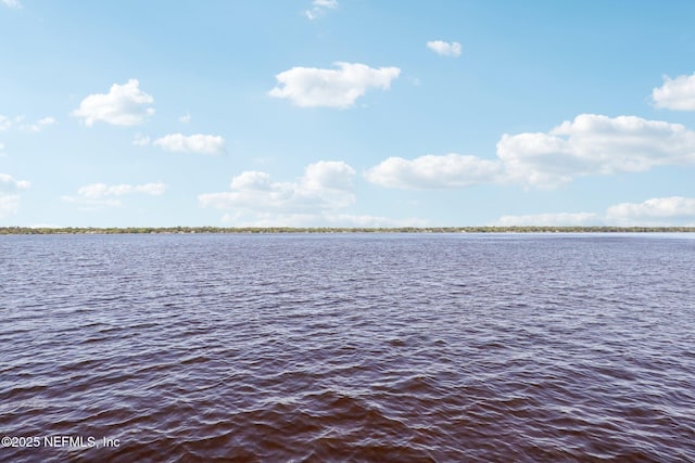 1833 N Lakeshore Dr, Fleming Island, FL 32003 - water view