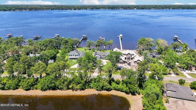 1833 N Lakeshore Dr, Fleming Island, FL 32003 - aerial view with a water view and a residential view