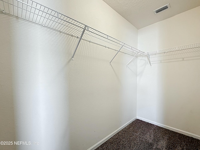 walk in closet featuring carpet floors and visible vents