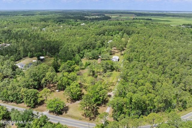 drone / aerial view of a forest