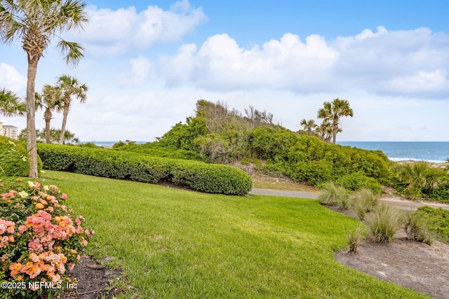 1029 Captains Court Dr Unit 1029, Fernandina Beach, FL 32034 - view of green lawn featuring a water view