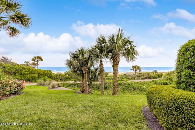 1029 Captains Court Dr Unit 1029, Fernandina Beach, FL 32034 - view of green lawn featuring view of water and beach