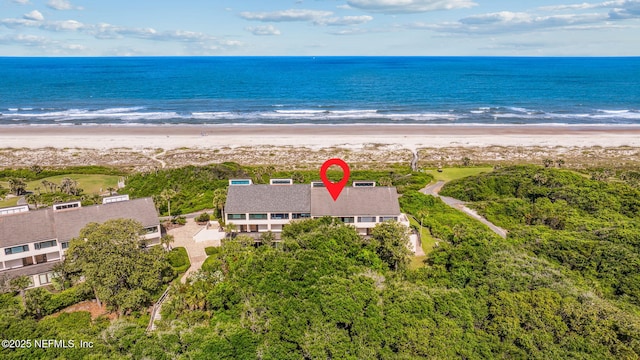 1029 Captains Court Dr Unit 1029, Fernandina Beach, FL 32034 - aerial view of unending shoreline