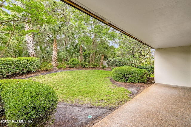 1029 Captains Court Dr Unit 1029, Fernandina Beach, FL 32034 - view of green lawn